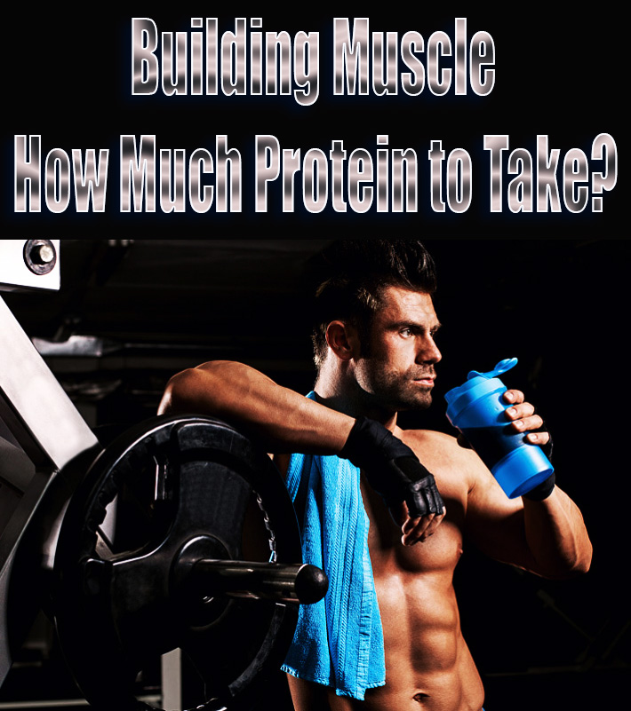 Building Muscle - How Much Protein to Take