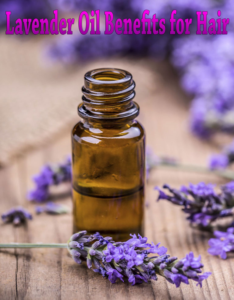 Lavender Oil Benefits for Hair