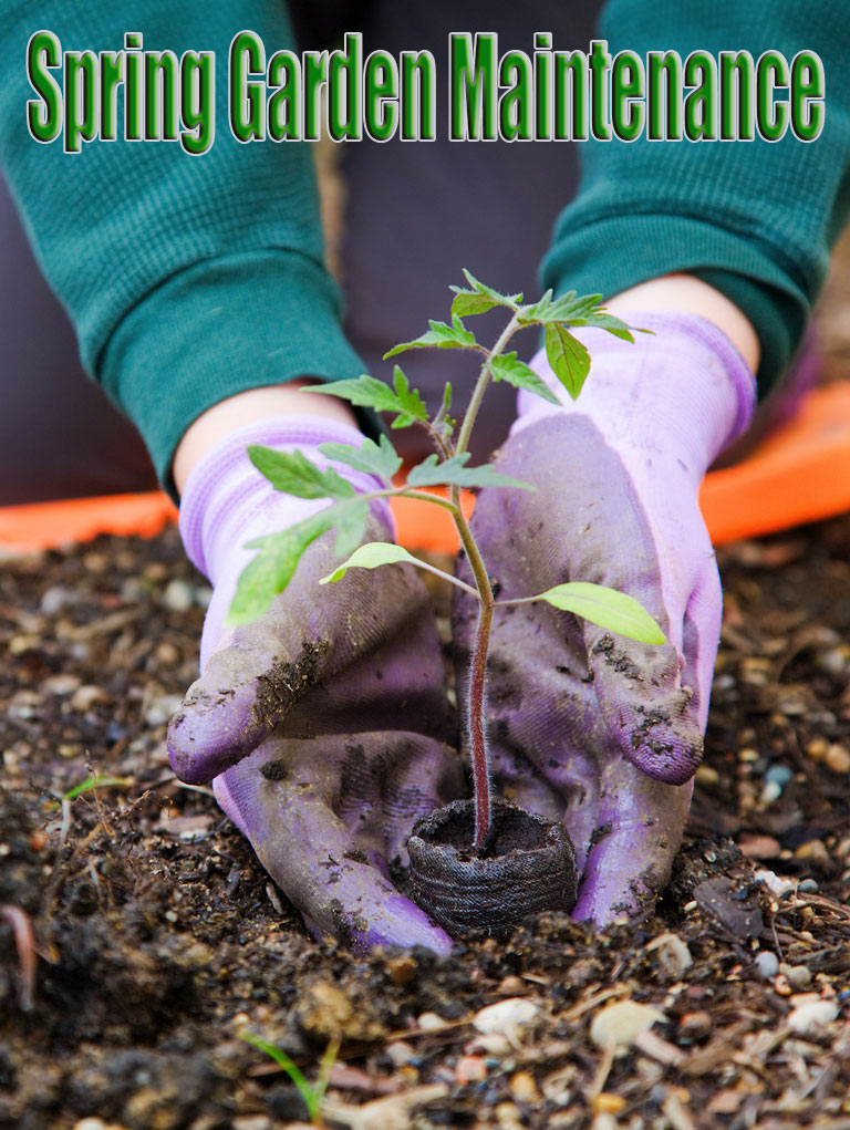 Spring Garden Maintenance