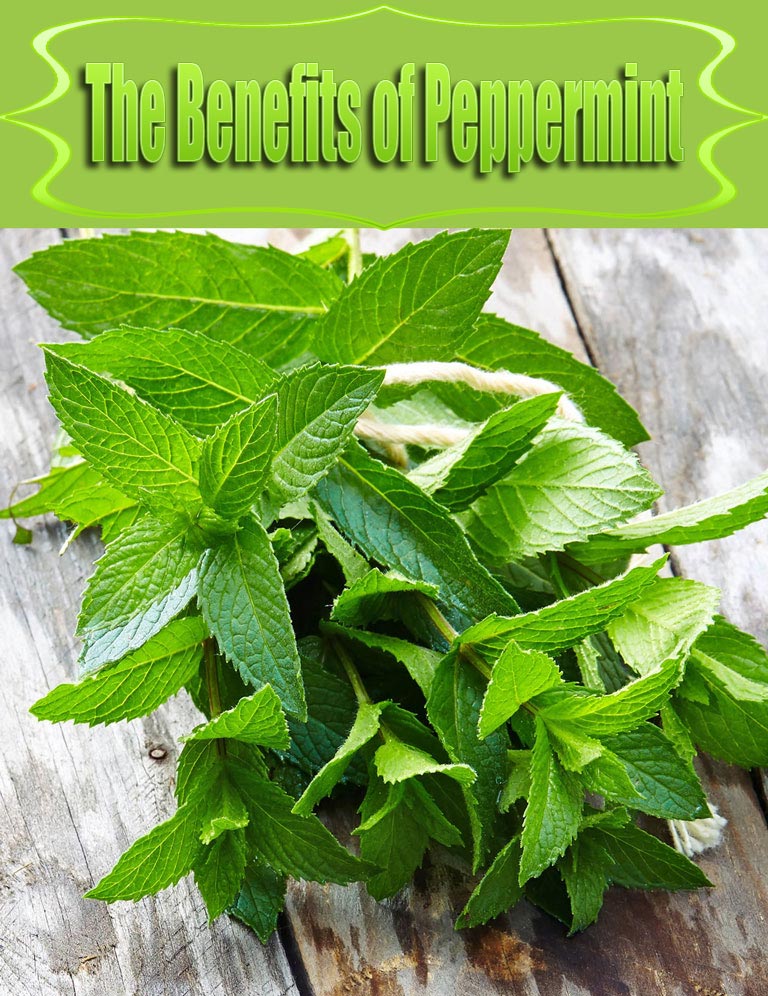 The Benefits of Peppermint