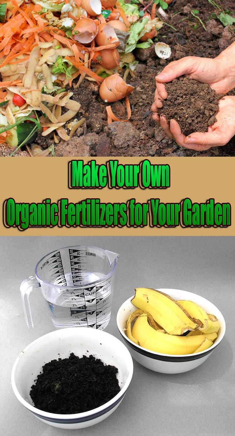 Make Your Own Organic Fertilizers for Your Garden