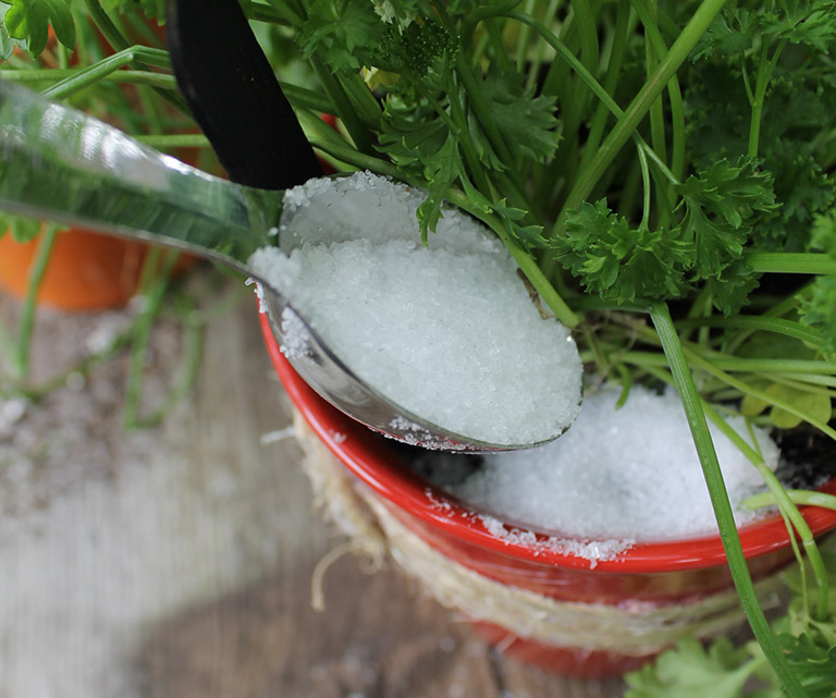 Make Your Own Organic Fertilizers for Your Garden
