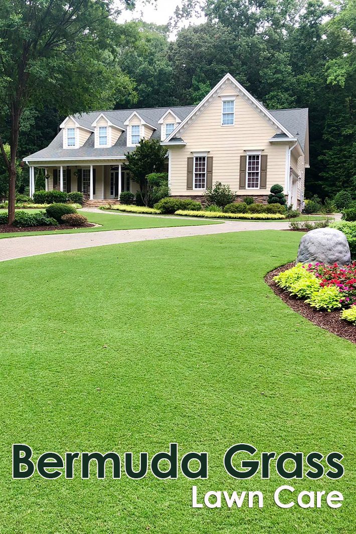 Bermuda Grass Lawn Care