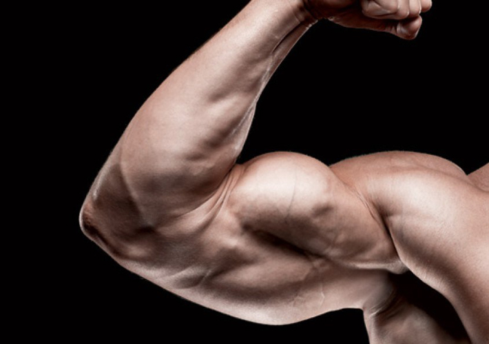 Strength Training: Building Arm Muscles