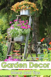 Garden Decor Ideas and Tips