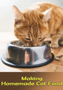 Making Homemade Cat Food