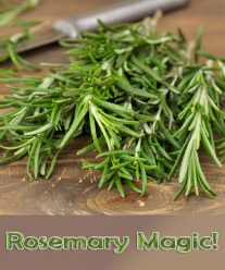 Rosemary