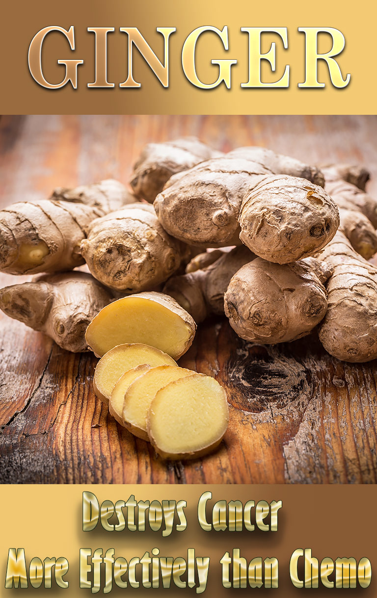 How Ginger Destroys Cancer More Effectively than Chemo