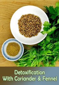 Detoxification With Coriander & Fennel Water