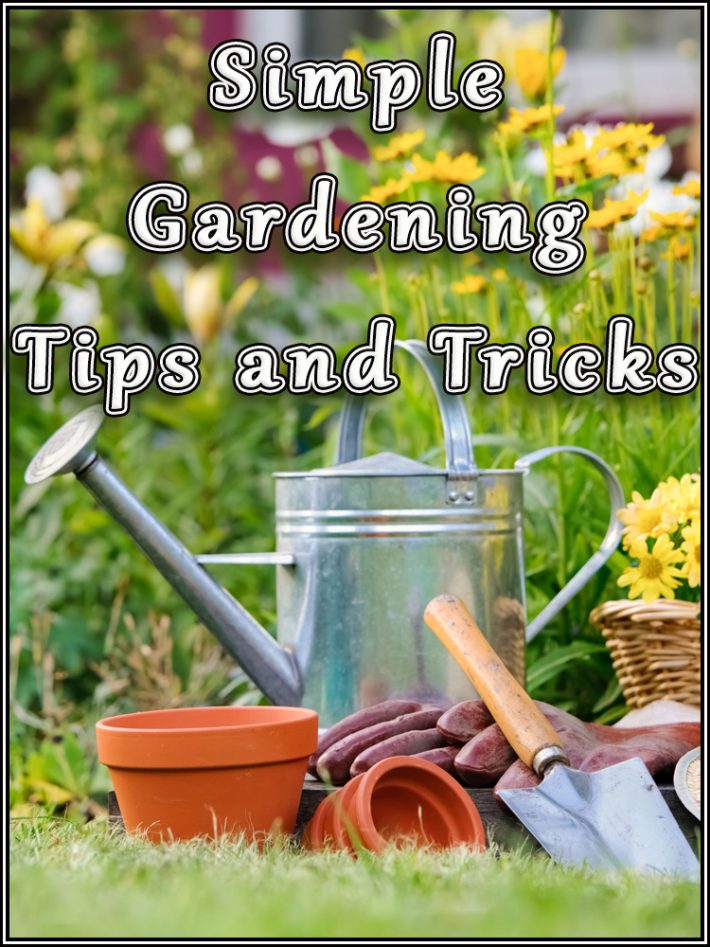 Simple Gardening Tips and Tricks