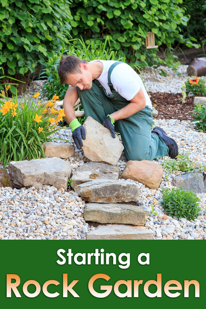 Starting a Rock Garden - Quiet Corner