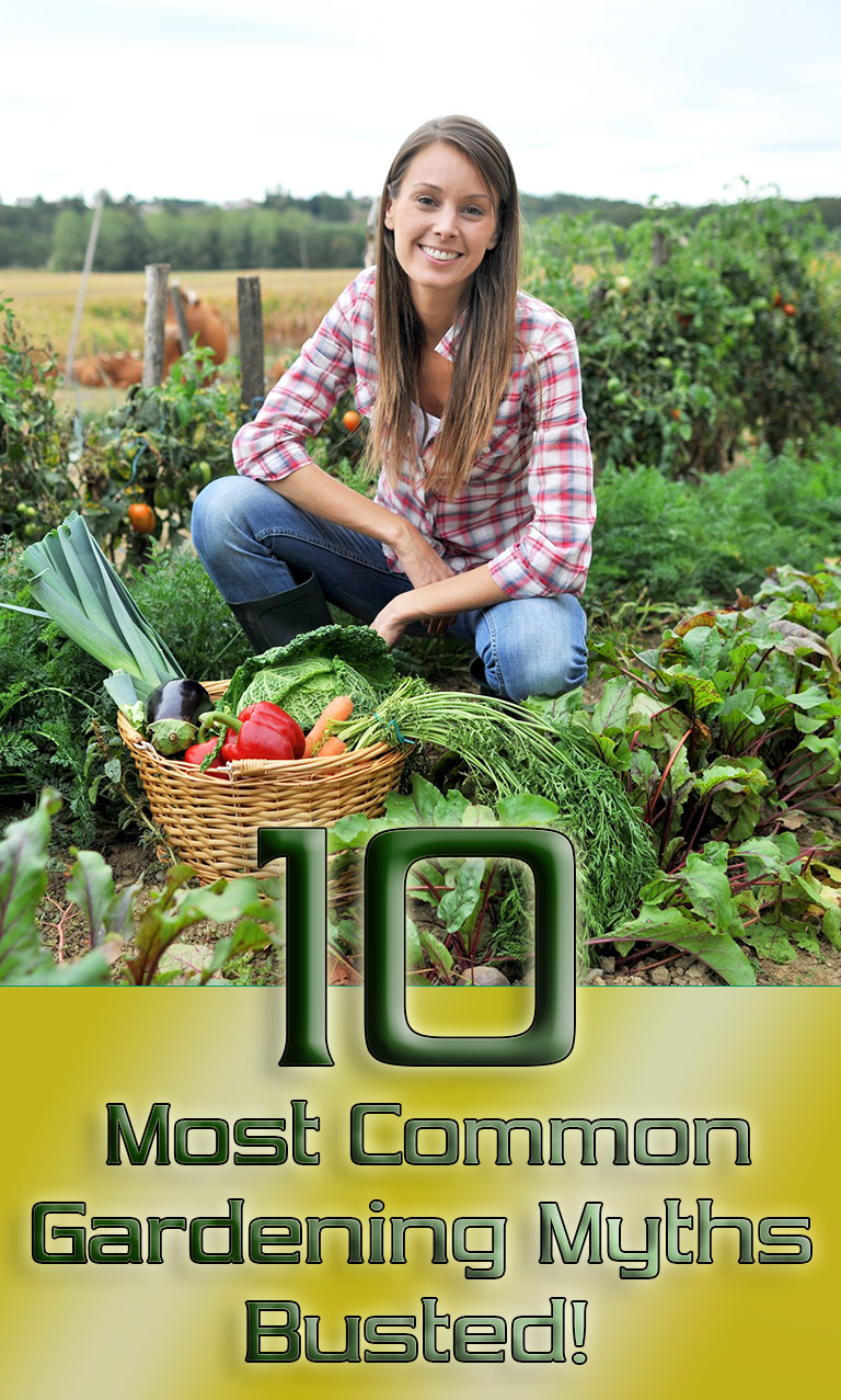 10 Most Common Gardening Myths Busted!