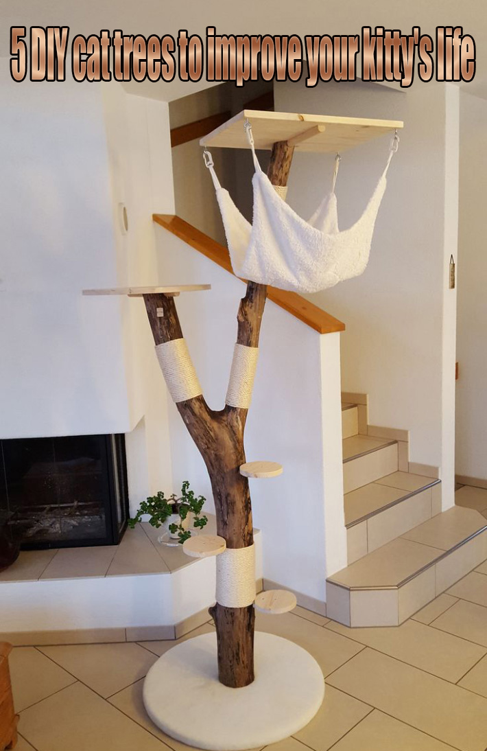 diy cat tree reddit