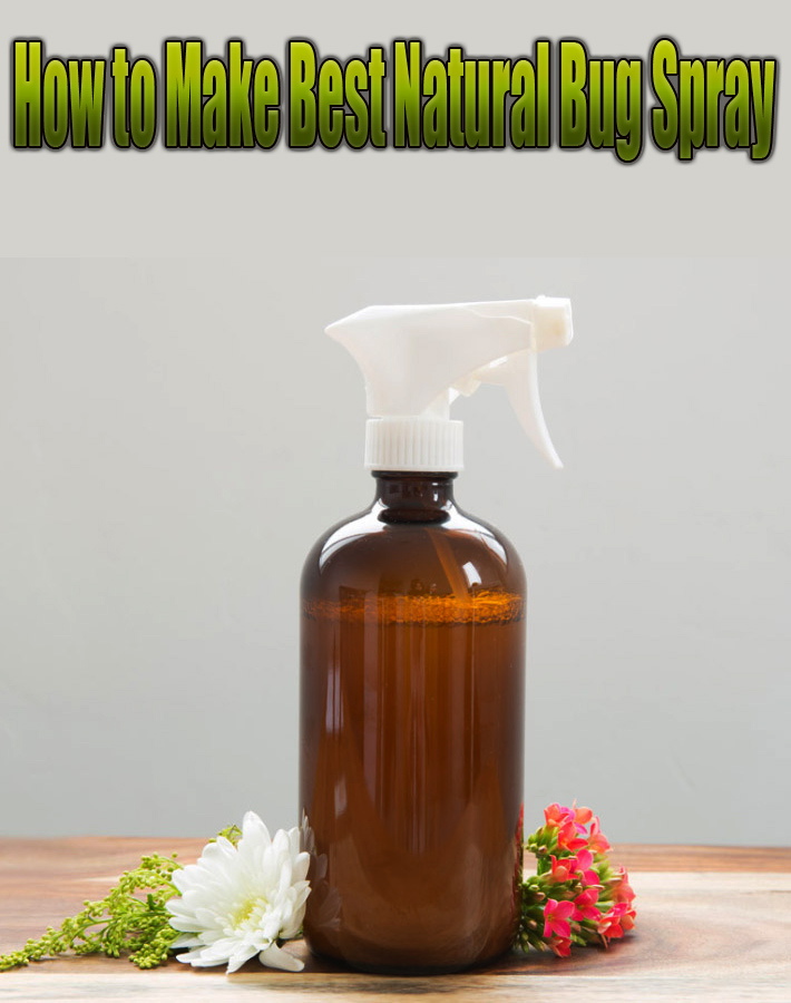 How to Make Best Natural Bug Spray