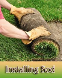 DIY - How to Install Sod for a New Lawn