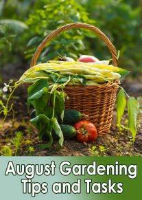 Garden Almanac - August Gardening Tips and Tasks