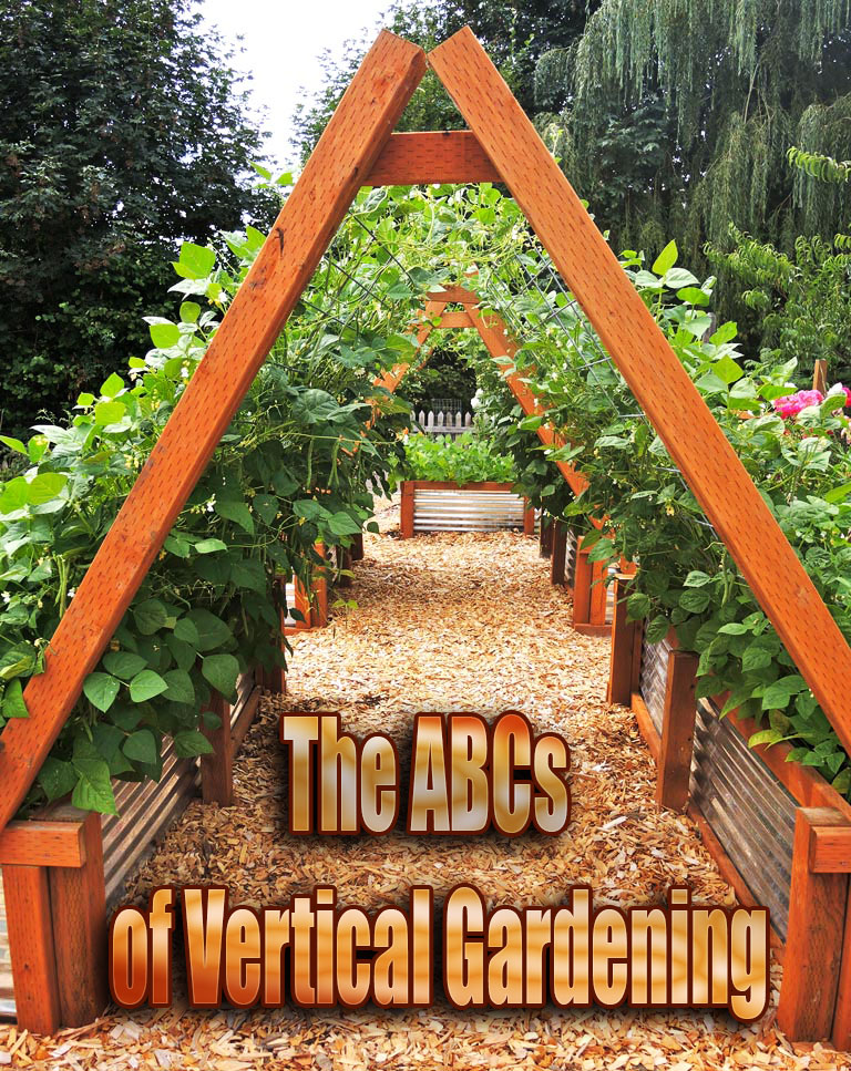 The ABCs of Vertical Gardening