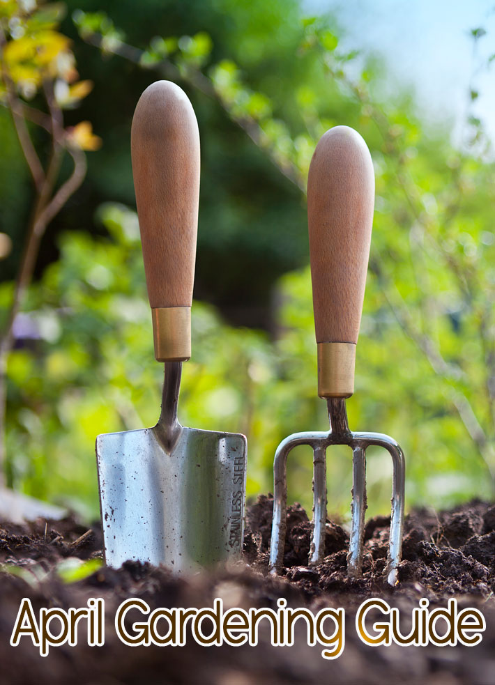 April Gardening Guide: April Garden Tasks in Your Region - Quiet Corner