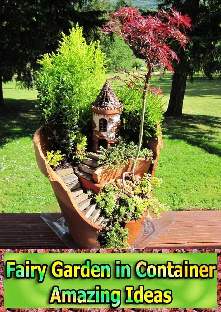 Fairy Garden in Container – Amazing Ideas