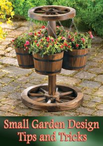 Small Garden Design – Tips and Tricks