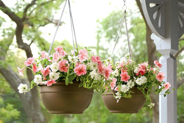 Watering Hanging Baskets 4