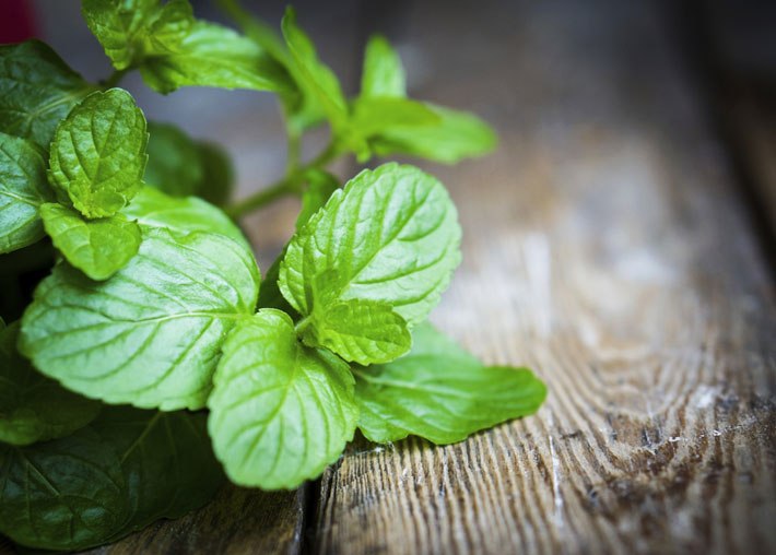 5 Health Benefits of Fresh Herbs