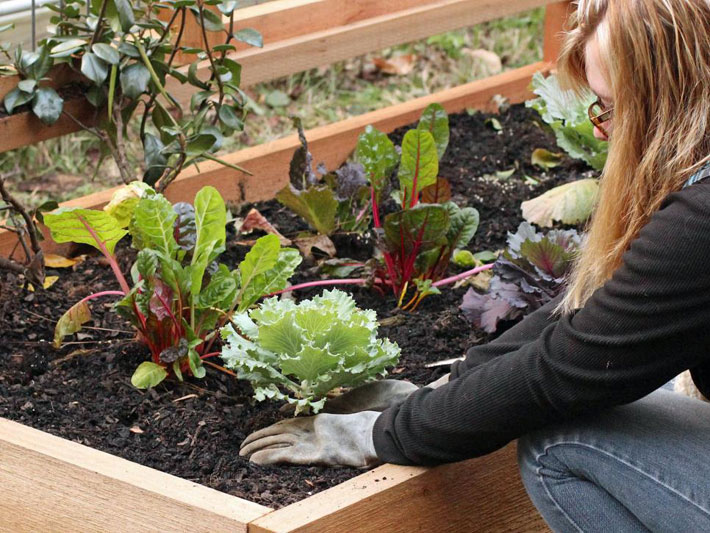 Diy Tutorial Build A Raised Bed and Trellis