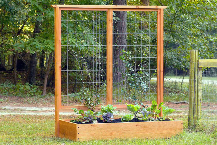 Diy Tutorial Build A Raised Bed and Trellis 2