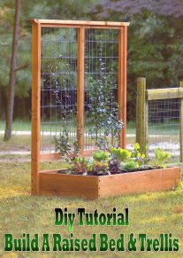 Diy Tutorial: Build A Raised Bed & Trellis