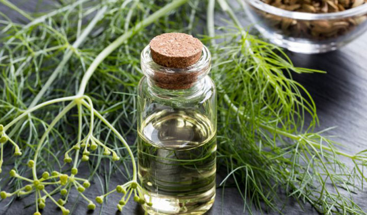 Top 15 Most Powerful Healing Spices 