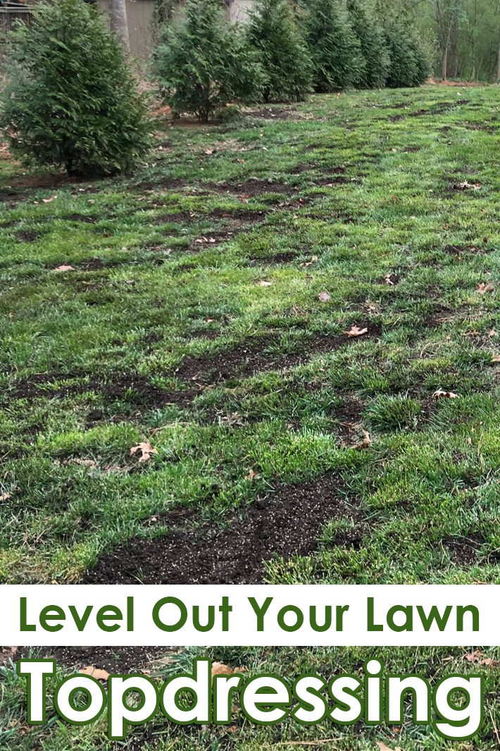 Topdressing – Level Out Your Lawn