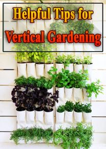 Helpful Tips for Vertical Gardening