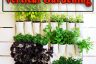 Helpful Tips for Vertical Gardening