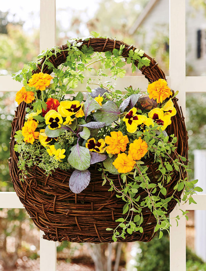 Plants For Fall Containers - Tips and Ideas