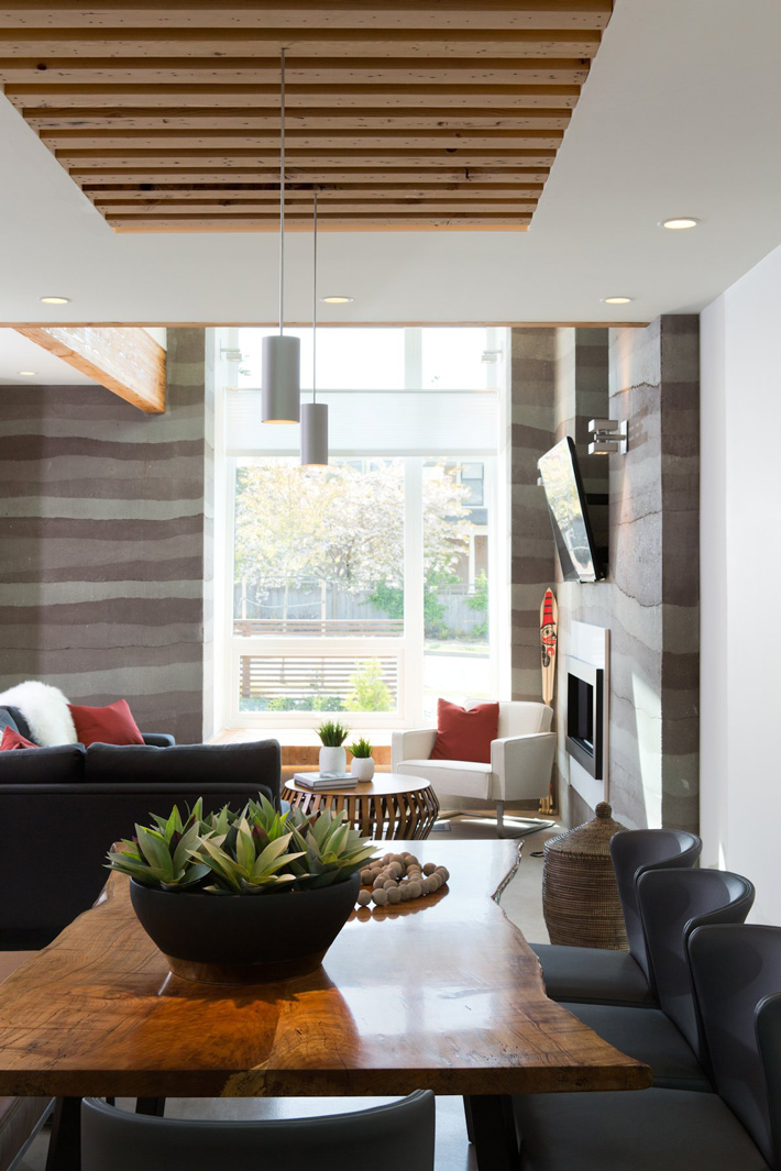 Energy-Efficient Contemporary Home