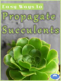 Easy Ways to Propagate Succulents